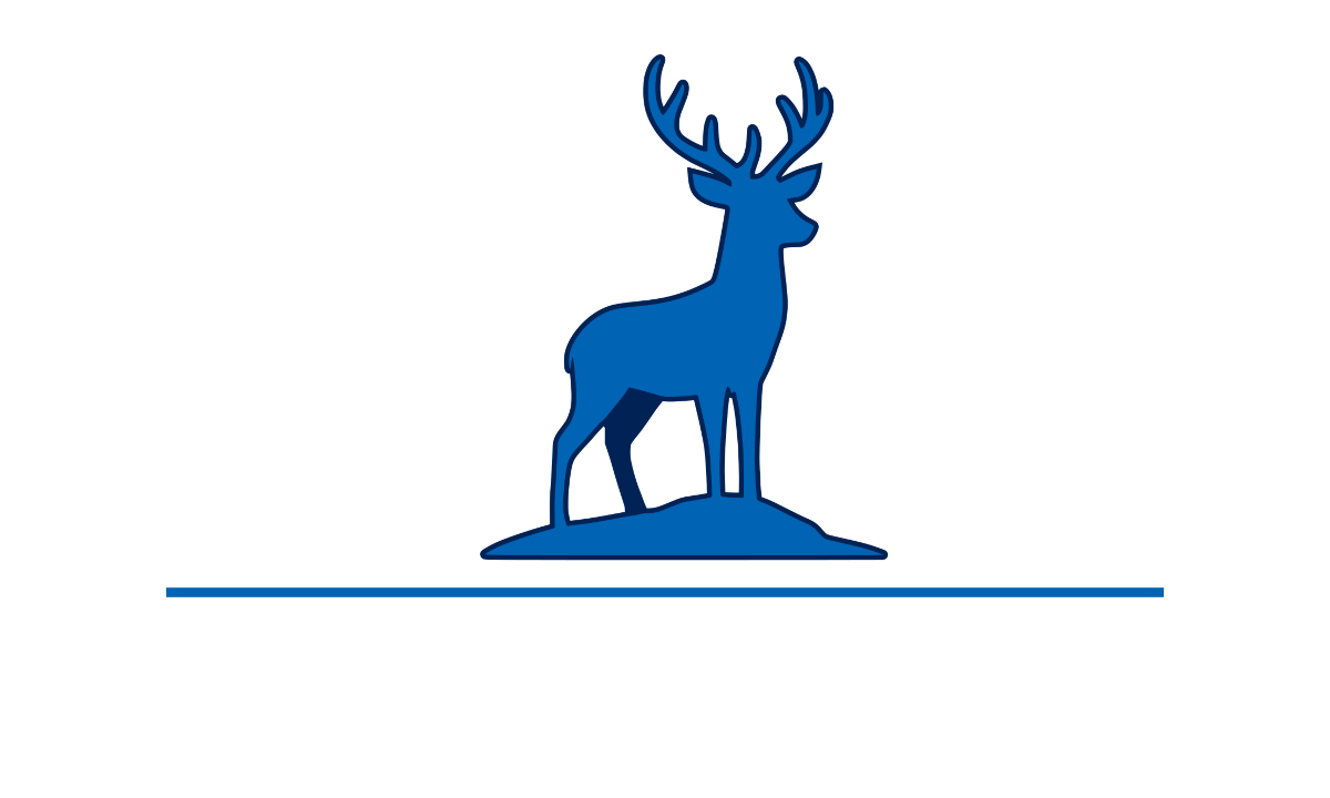 Frozen Lake Games Logo